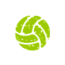 Icon  Volley